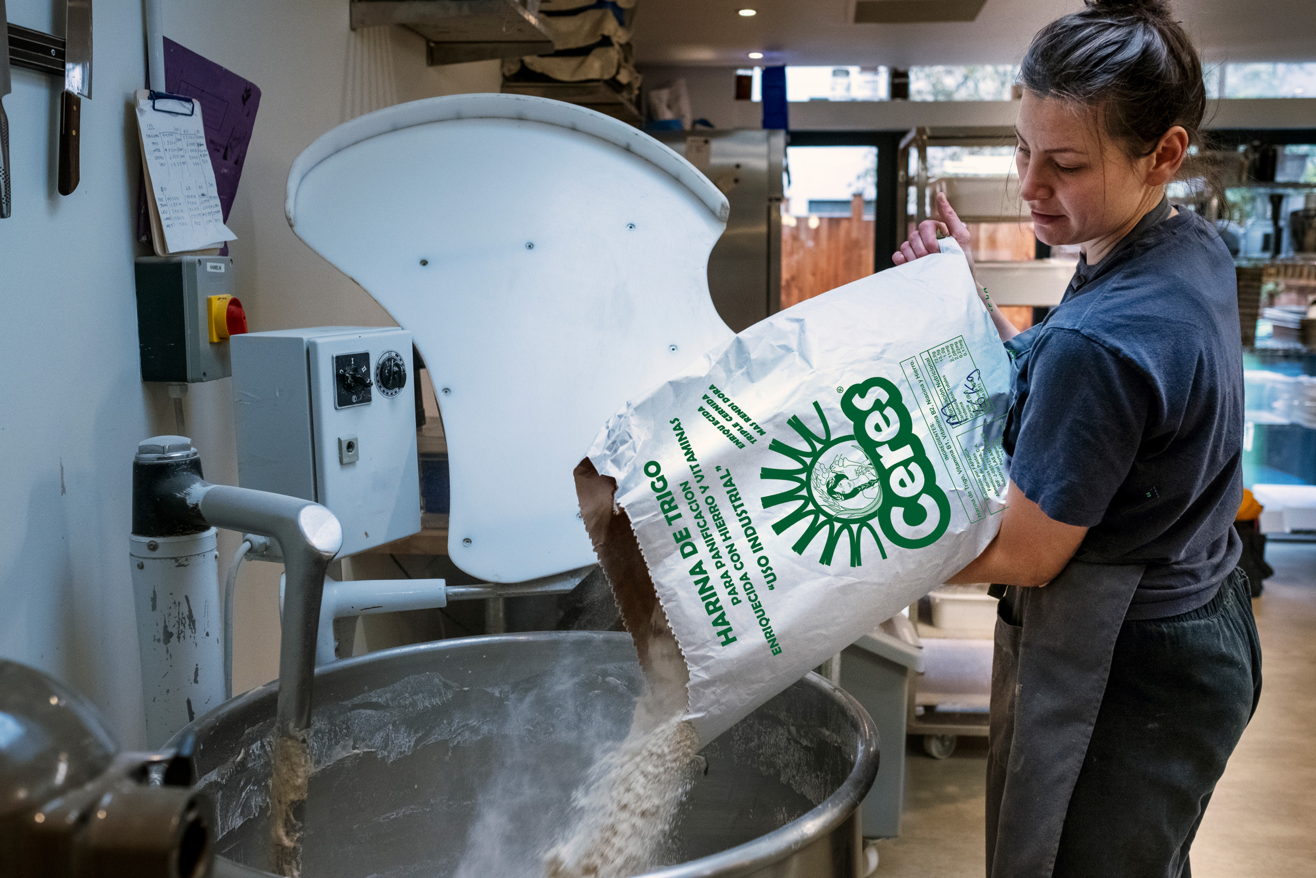 Building with trees Building with trees